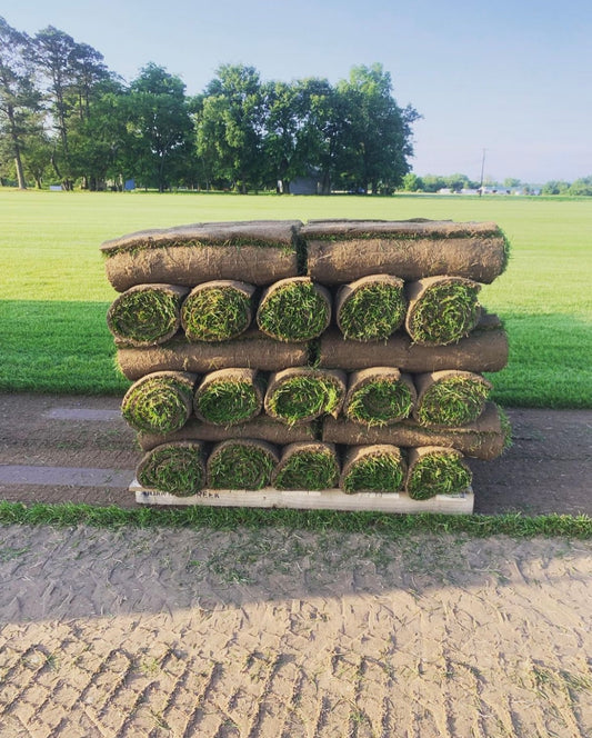 Premium Kentucky Blue Full Pallet 50 Rolls (500sqft)
