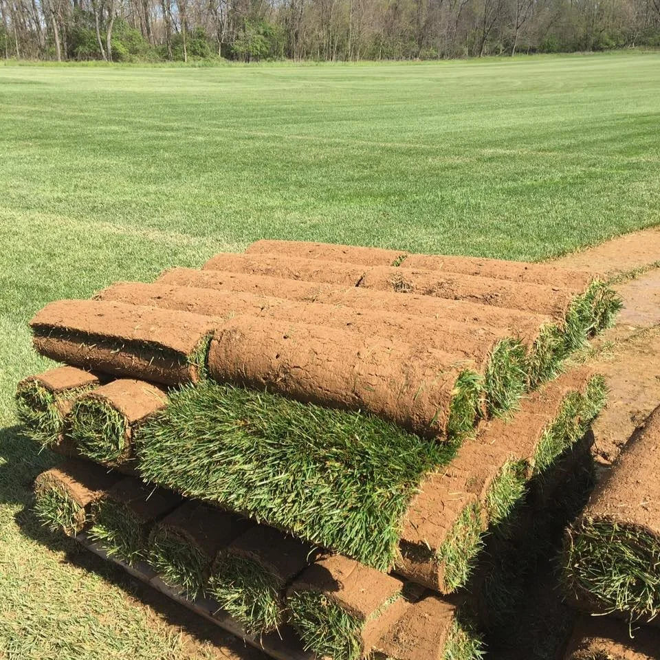 Premium Tall Fescue Full Pallet 50 rolls (500sqft)