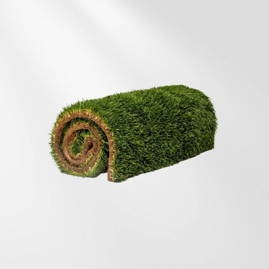 Additional 10 Rolls (100sqft)